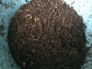 ウサギ糞堆肥 １年目