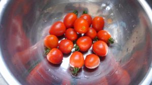 ミニトマト 収穫 市民農園 2016.7.28